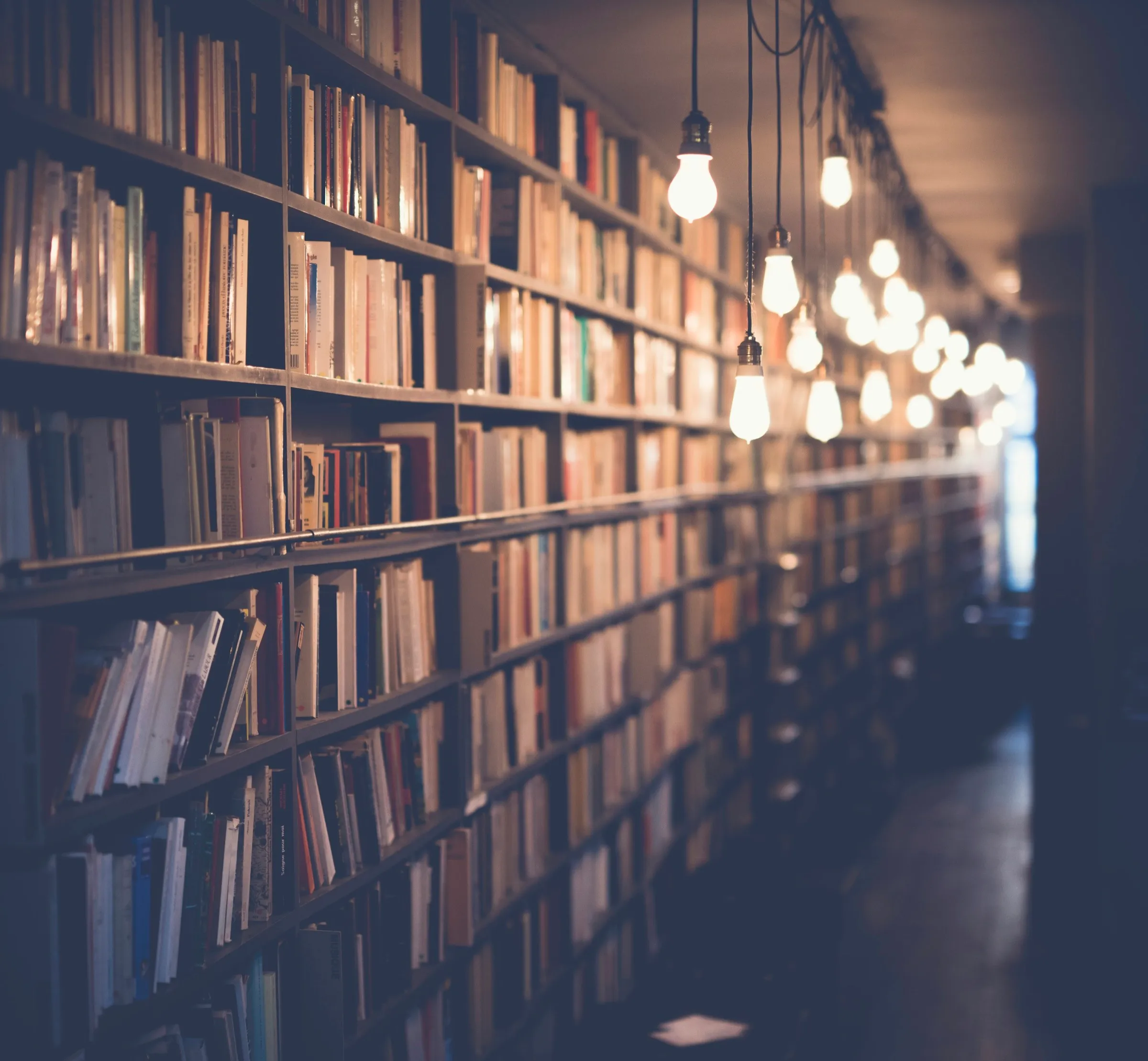 Estantería de biblioteca con bombillas colgantes encendidas, sin personas.